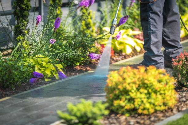 Granite Hills, CA Pressure Washing Services Company