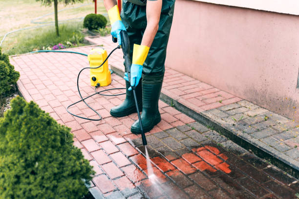 Best Roof Washing  in Granite Hills, CA